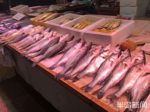 青島水產(chǎn)品交易遇冷，進口水產(chǎn)停售，市場監(jiān)管部門嚴查進貨來源