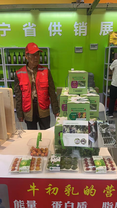 供銷優(yōu)勢聚合，農(nóng)特產(chǎn)品閃耀——宏偉區(qū)供銷社參展東北亞(營口)農(nóng)副產(chǎn)品展銷會紀實