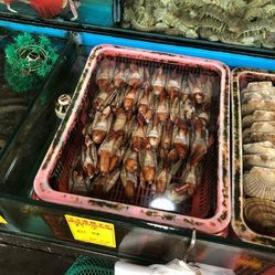 遠洋水產(chǎn)凍品批發(fā)市場 現(xiàn)代水產(chǎn)品批發(fā)的核心樞紐