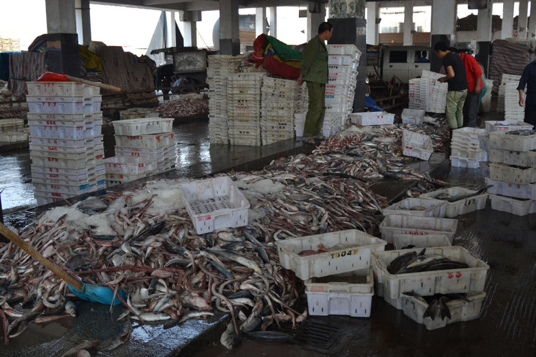 松門水產(chǎn)批發(fā)市場 邊買邊拍，探訪鮮活水產(chǎn)品批發(fā)新體驗